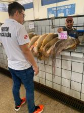 Fiscalização verão